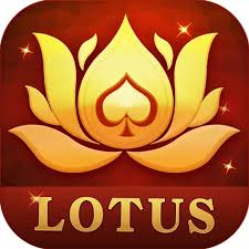 Teen Patti Lotus – 666E Rummy APK6-Star Rated Rummy Experience in India